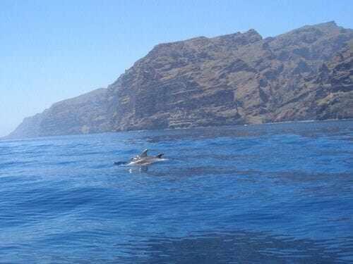 El Paraiso En Los Gigantes Santiago del Teide Extérieur photo