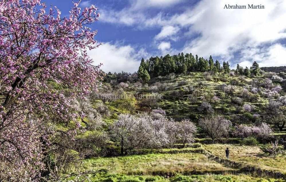 El Paraiso En Los Gigantes Santiago del Teide Extérieur photo