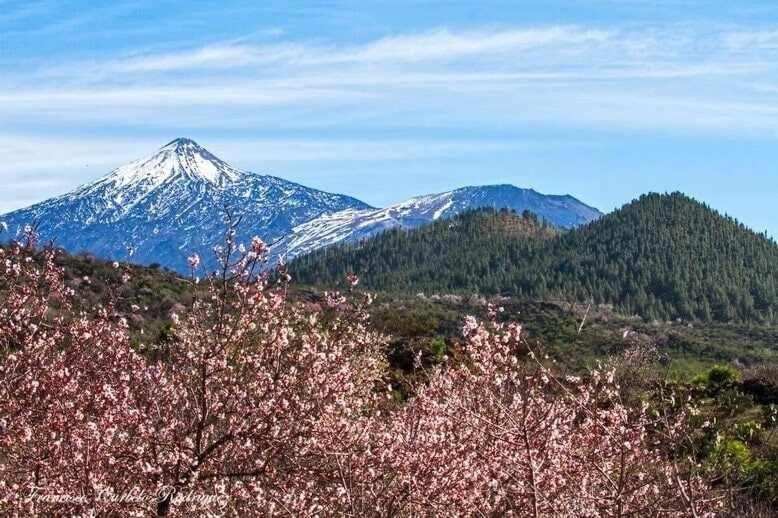 El Paraiso En Los Gigantes Santiago del Teide Extérieur photo